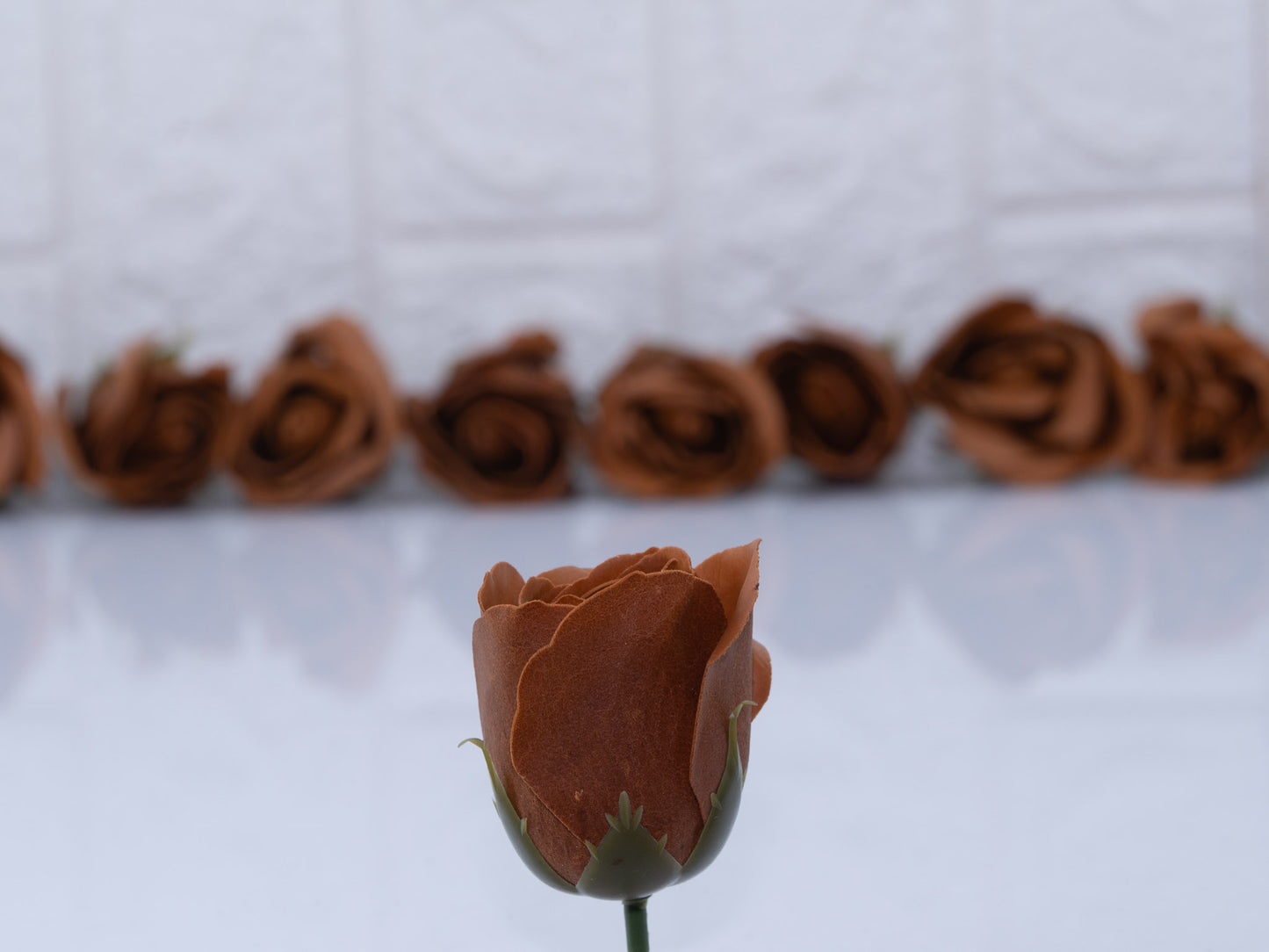 Scented rose chocolate brown