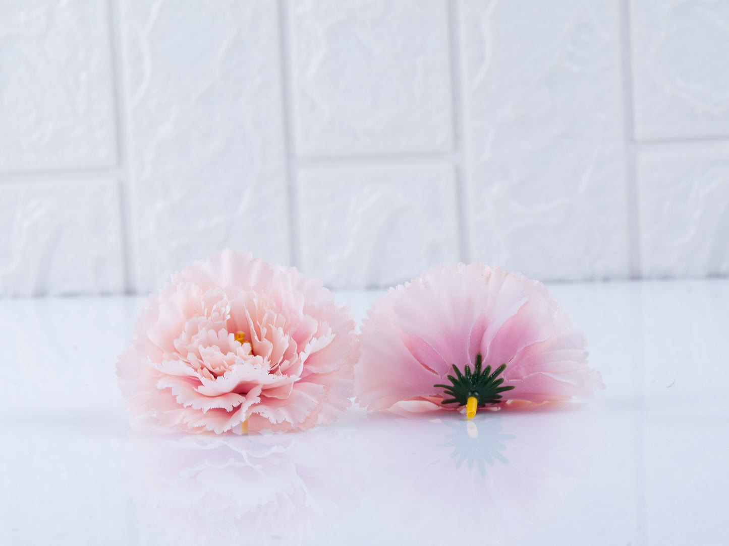 Pink Carnation ( pack of 2)